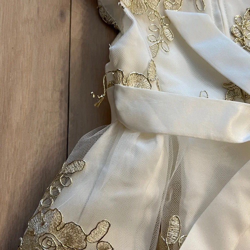 Holiday/Special Occasion - Rare Editions dress 24M& Sugar shoes - Picture 10 of 15